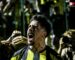 Peñarol: Cachila es duda
